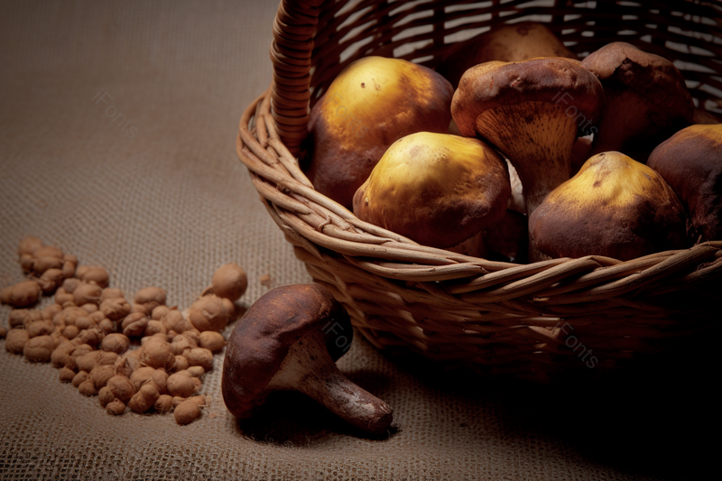 野生菌松茸新鲜蘑菇野生菌背景图,高清,摄影图,摄影图片,图片大全,摄影图免费下载